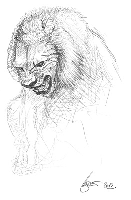 sketch of a lion